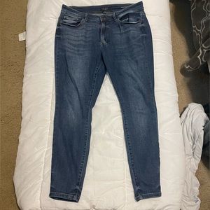 Plus Judy Blue Skinny Fit